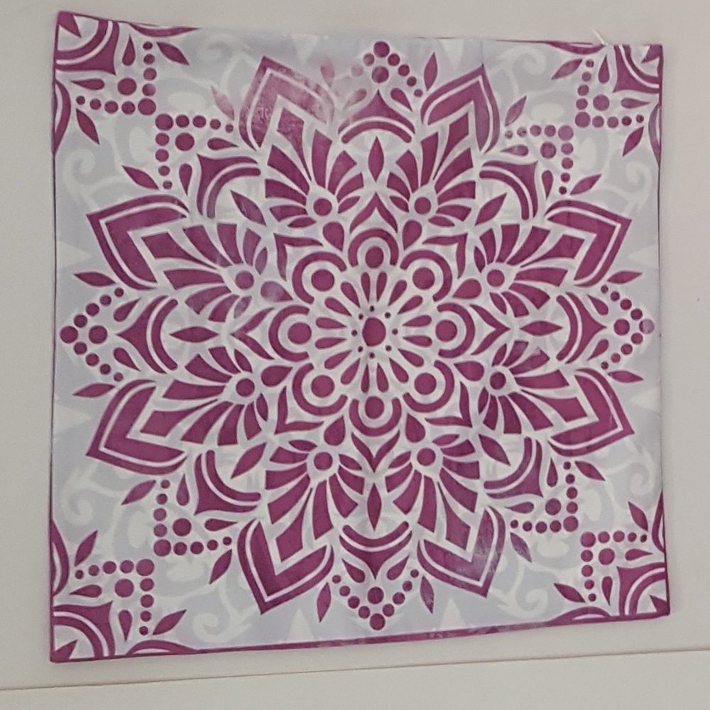 New Pillow  Set of 3 Pillow  Zipper Covers Only
